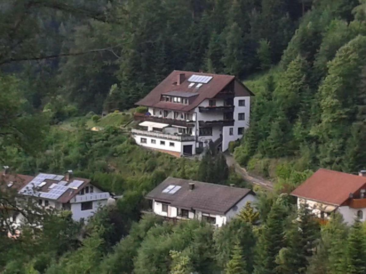 Pension Schwarzwaldblick Hornberg Zewnętrze zdjęcie